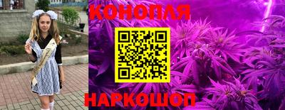 mdpv Будённовск