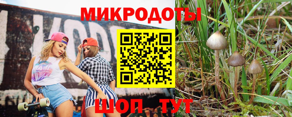 Галлюциногенные грибы мицелий Жигулёвск