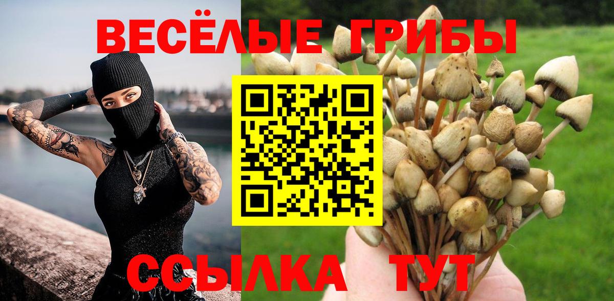 Галлюциногенные грибы мицелий  Вход с VPN  Жигулёвск 