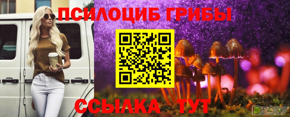 Галлюциногенные грибы прущие грибы Жигулёвск